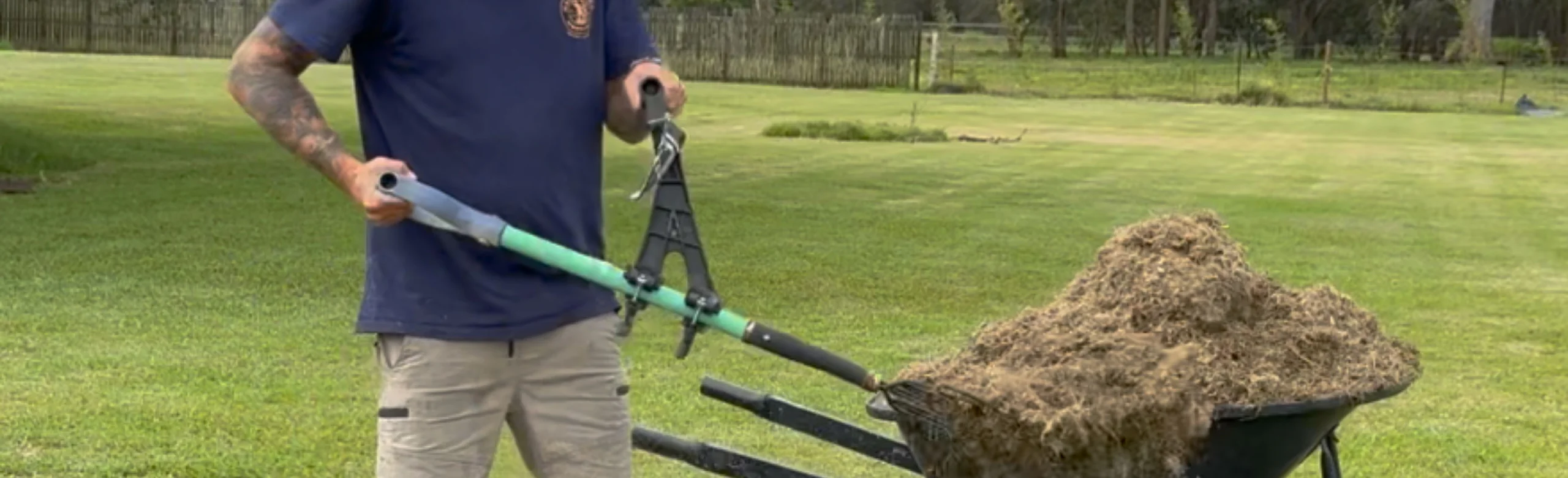 Master Your Landscaping Today